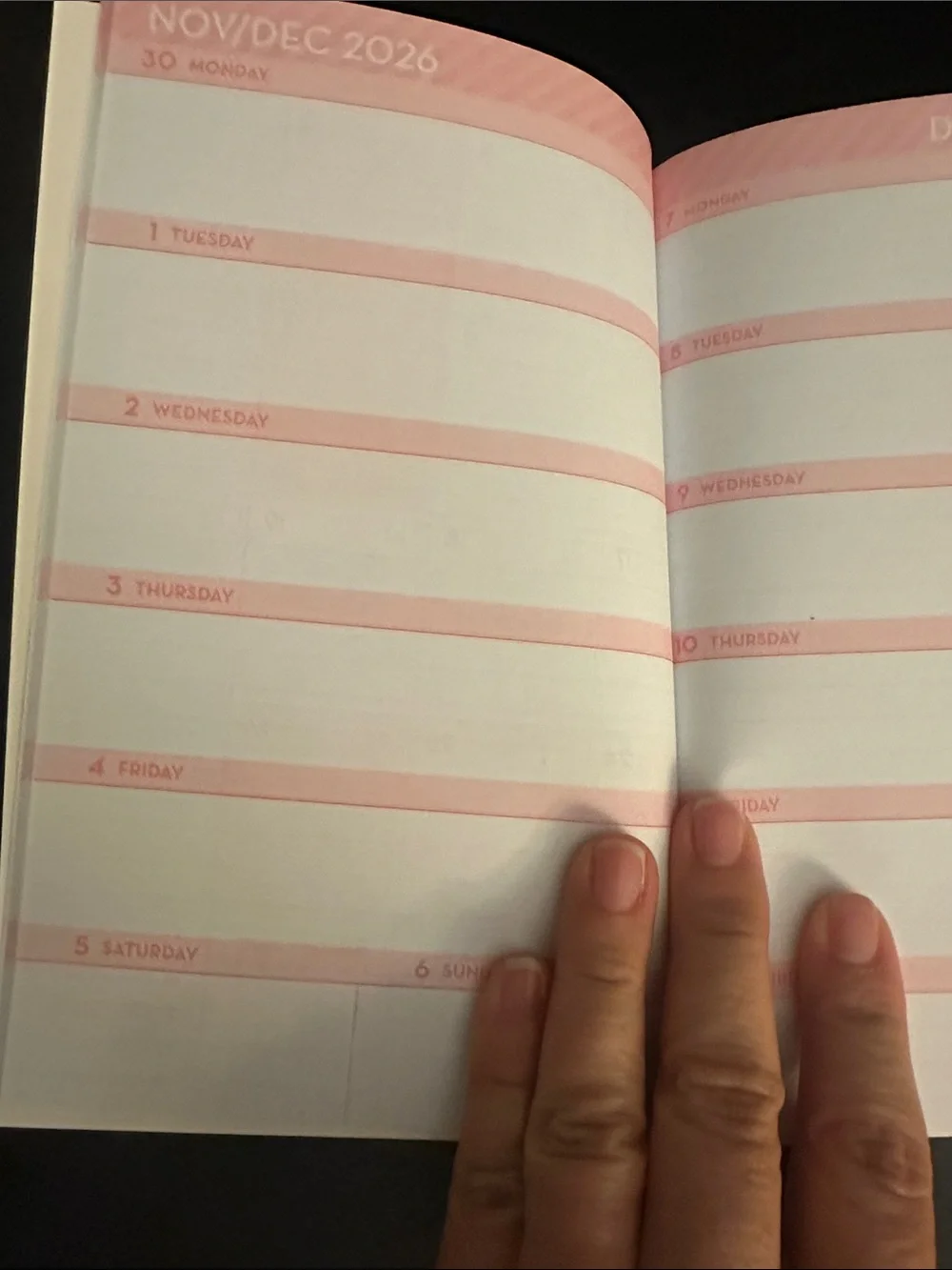 2026-2027 Academic Planner in Pink with Blue Leopard Print
